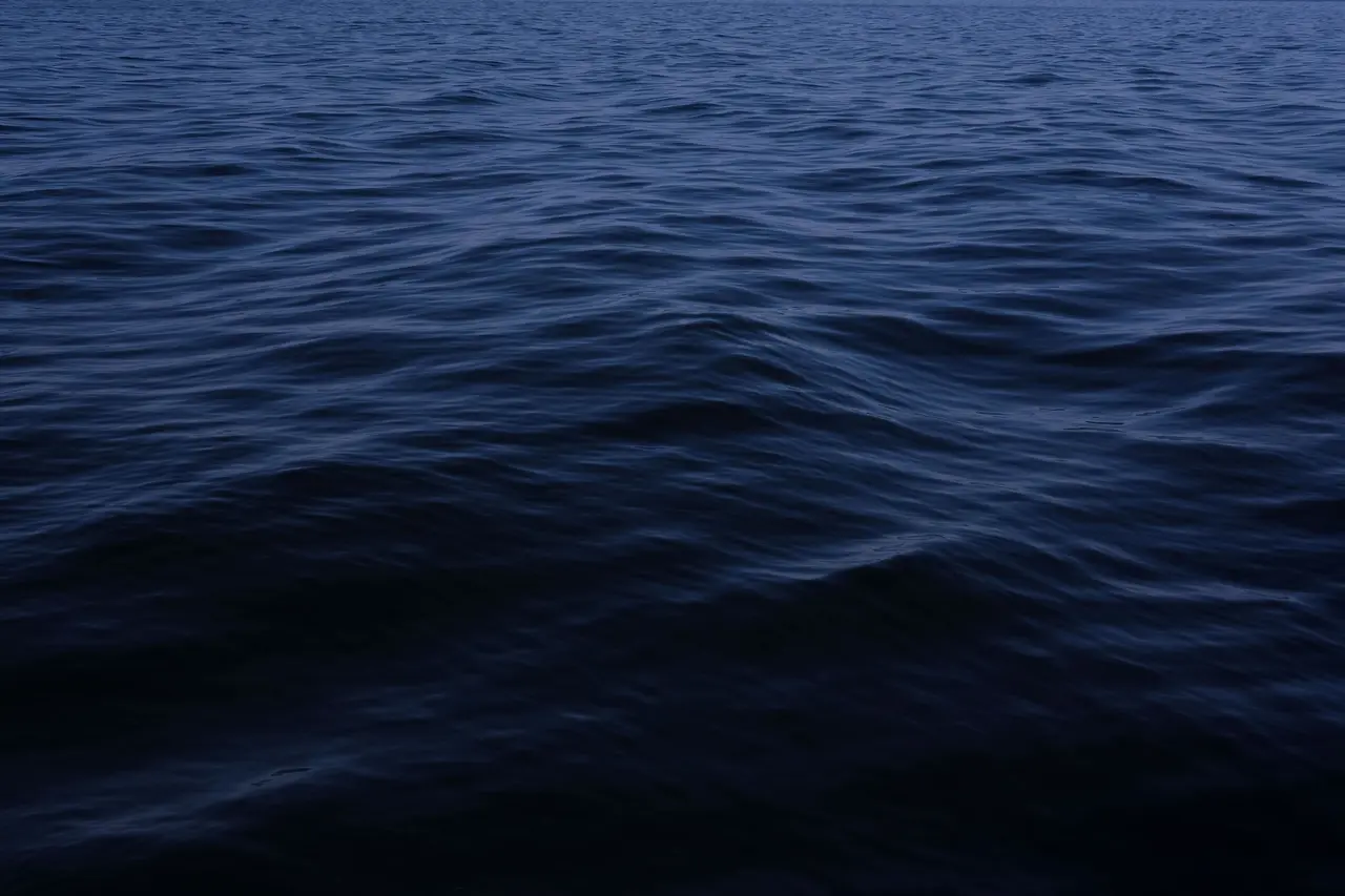 White Paper - The Mediterranean Sea we want