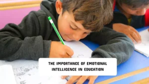 The Importance of Emotional Intelligence in Education