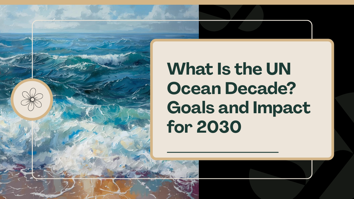 What Is the UN Ocean Decade? Goals and Impact for 2030
